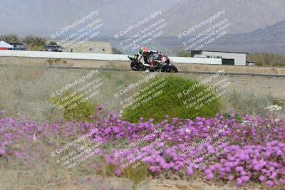 media/Feb-04-2023-SoCal Trackdays (Sat) [[8a776bf2c3]]/Turn 15 Inside Blooming (1050am)/